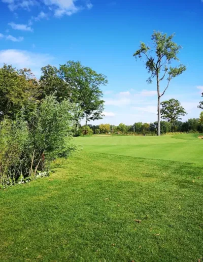 Mystic Pines Golf 8